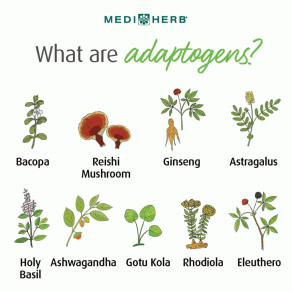 What are adaptogens?